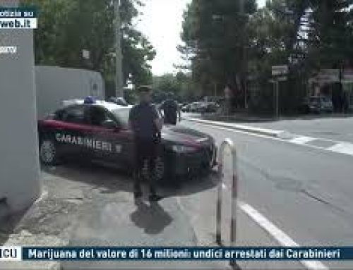 Riesi (Cl) – Marijuana del valore di 16 milioni: undici arrestati dai Carabinieri