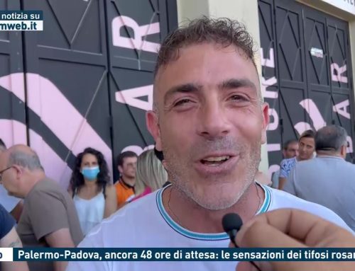Calcio. Palermo-Padova, ancora 48 ore di attesa: le sensazioni dei tifosi rosanero