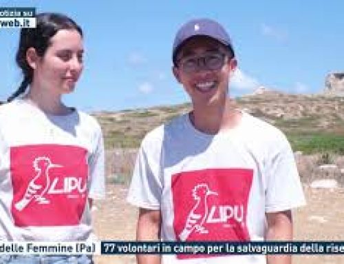 Isola delle Femmine (Pa) – 77 volontari in campo per la salvaguardia della riserva