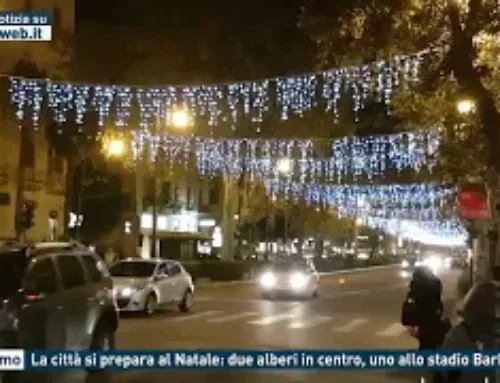 Palermo, la città si prepara al Natale: due alberi in centro, uno allo stadio Barbera