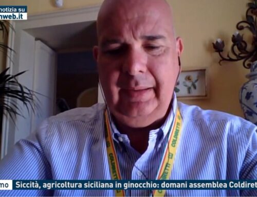 Palermo – Siccità, agricoltura siciliana in ginocchio: domani assemblea Coldiretti