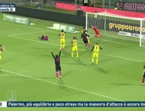 Serie B – Palermo, più equilibrio e meno stress ma la manovra d’attacco è ancora incerta