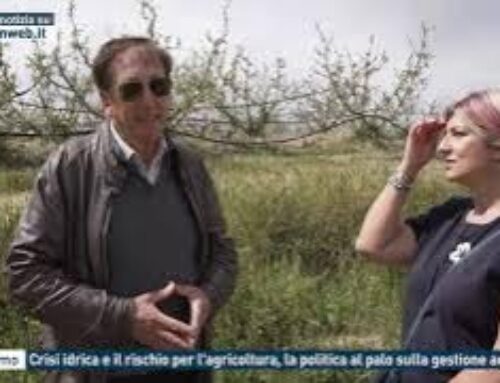 Palermo – Crisi idrica e il rischio per l’agricoltura, la politica al palo sulla gestione acqua