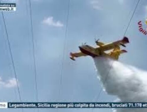 Palermo – Legambiente, Sicilia regione più colpita da incendi, bruciati 71.178 ettari