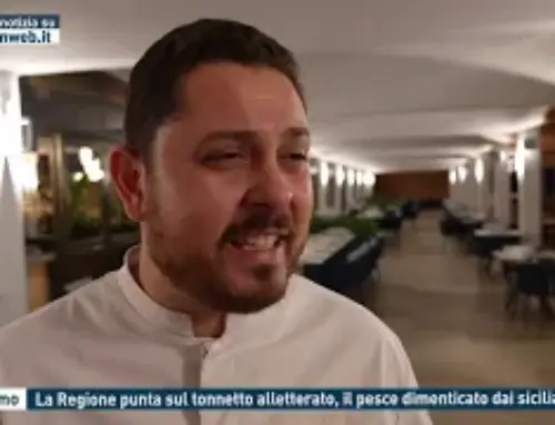 Palermo – La Regione punta sul tonnetto alletterato, il pesce dimenticato dai siciliani